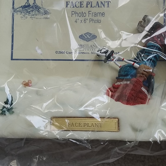 Ski theme picture frame- Face Plant - Picture 3 of 7